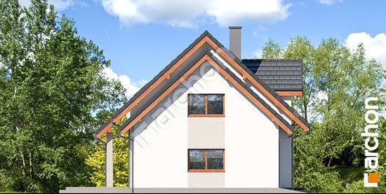 Боковой фасад Дом в хлорофитуме 5 (Г)