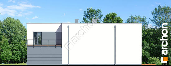 Бочний фасад Будинок в топінамбурах (Г2А)