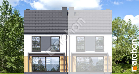 Дворовий фасад Будинок під гінко 26 (Б)