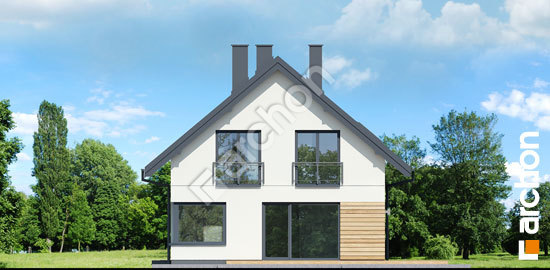 Боковой фасад Дом в малиновках 30