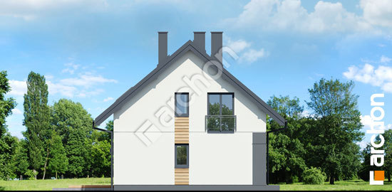 Боковой фасад Дом в малиновках 30