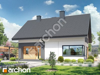 Проєкт будинку ARCHON+ Будинок в малинівці 30 