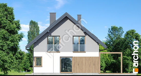 Бочний фасад Будинок в аммобіумі 2