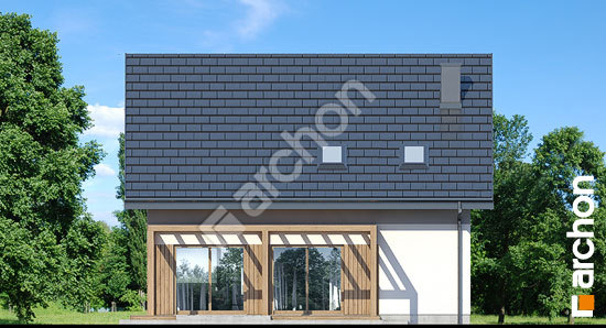 Дворовий фасад Будинок в аммобіумі 2