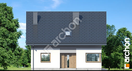 Передній фасад Будинок в аммобіумі 2