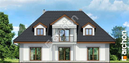 Дворовий фасад Будинок в айстрах вер.2