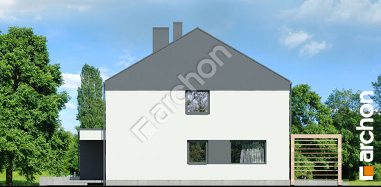 Боковой фасад Дом в нарциссах 7 (Б)