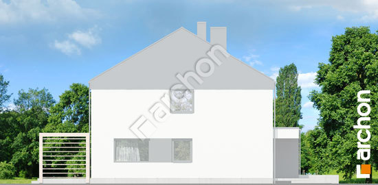 Боковой фасад Дом в нарциссах 7 (Б)