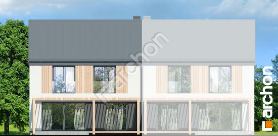 Дворовий фасад Будинок в нарцисах 7 (Б)