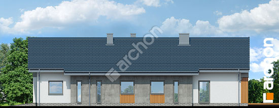 Боковой фасад Дом в аралиях