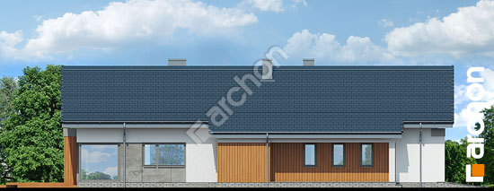 Боковой фасад Дом в аралиях