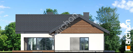 Дворовой фасад Дом в видличках 3 (Г2)