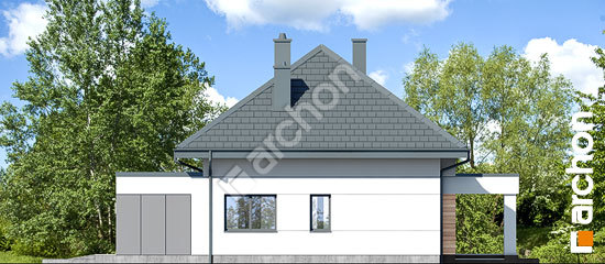 Боковой фасад Дом в дабециях 5 (Г2)