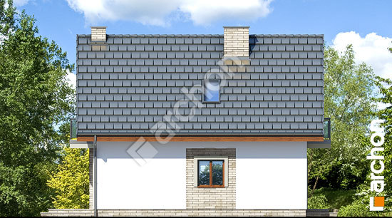 Бочний фасад Будинок в сон-траві (А)