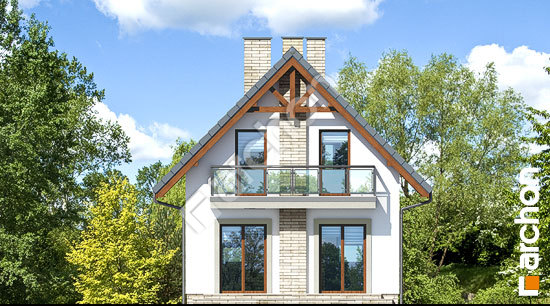 Дворовий фасад Будинок в сон-траві (А)