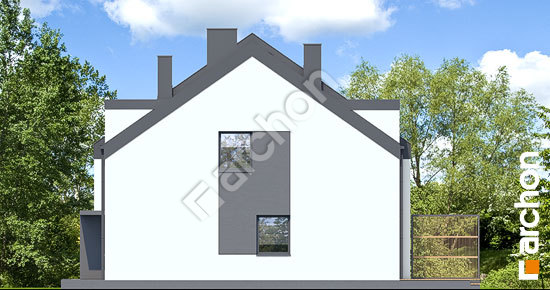 Бочний фасад Будинок в рівіях 18 (Б)