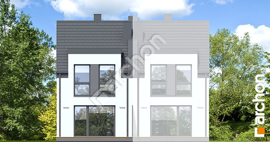 Дворовой фасад Дом в ривиях 18 (Б)