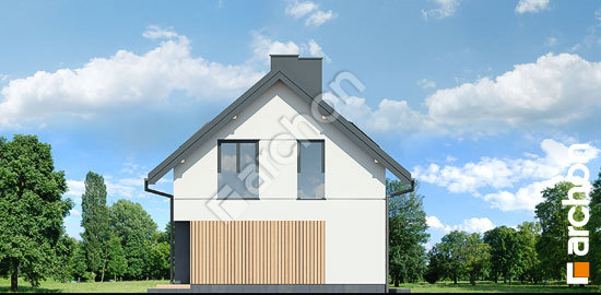 Бочний фасад Будинок в метеликах 2