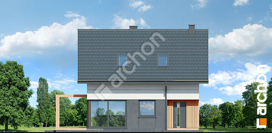 Передний фасад Дом в мотыльках 2