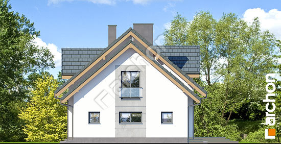 Боковой фасад Дом в серебрянках  2 (Г2Т)