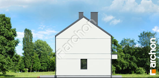 Боковой фасад Дом в иберисах 5