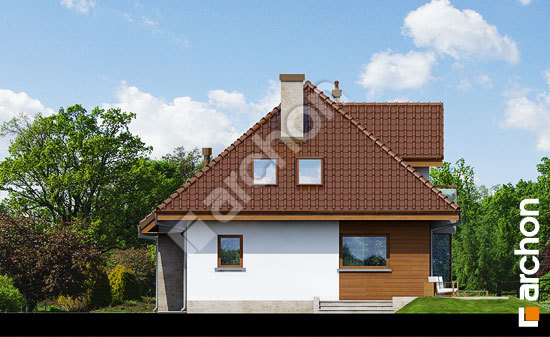 Дворовий фасад Будинок в руколі (H) вер.2