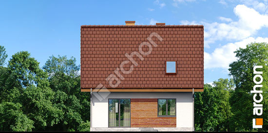 Дворовий фасад Будинок в суниці вер. 2