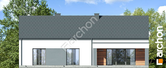 Дворовой фасад Дом в ромашках 3