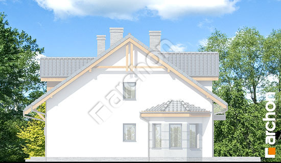 Бочний фасад Будинок в дельфініумі 5 (Б)