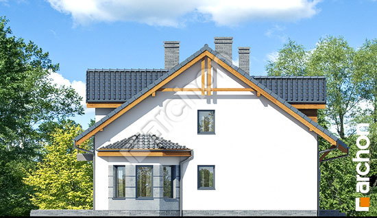 Бочний фасад Будинок в дельфініумі 5 (Б)