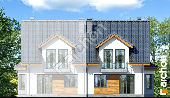 Дворовий фасад Будинок в дельфініумі 5 (Б)