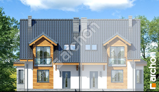 Передній фасад Будинок в дельфініумі 5 (Б)