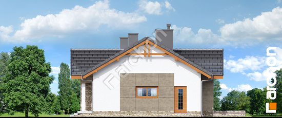 Бочний фасад Будинок в нерінах 4