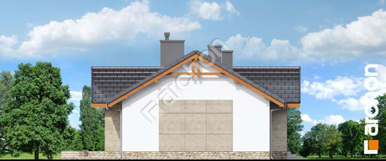 Боковой фасад Дом в неринах 4