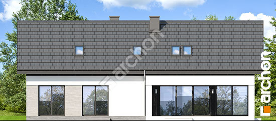 Дворовий фасад Будинок в дабеціях (М)