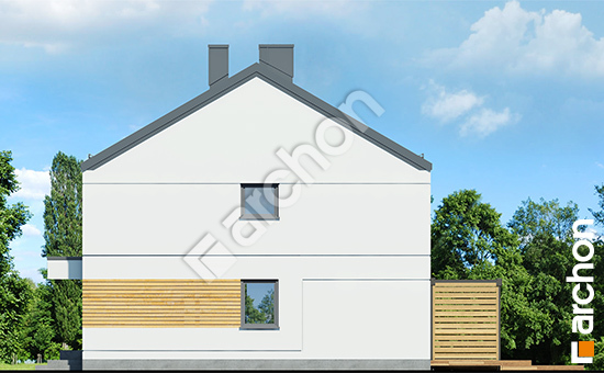 Бочний фасад Будинок в тунбергіях (Р2) вер.2