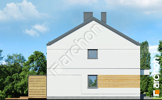 Бочний фасад Будинок в тунбергіях (Р2) вер.2