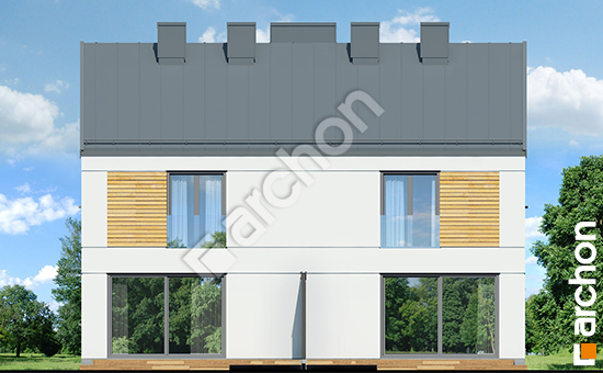 Дворовой фасад Дом в тунбергиях (Р2) вер.2