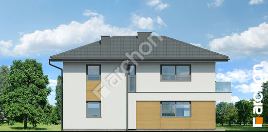 Дворовий фасад Вілла Поля