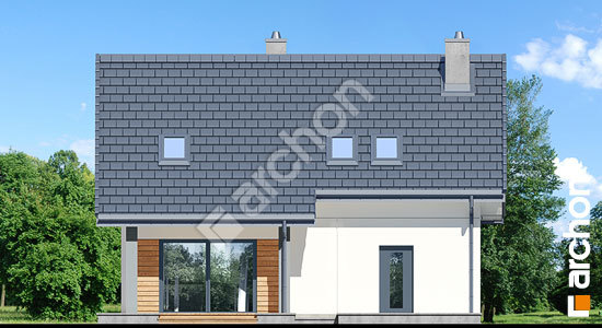 Дворовий фасад Будинок в яблонках 16