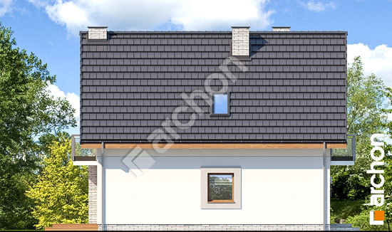 Бочний фасад Будинок в сон-траві 3