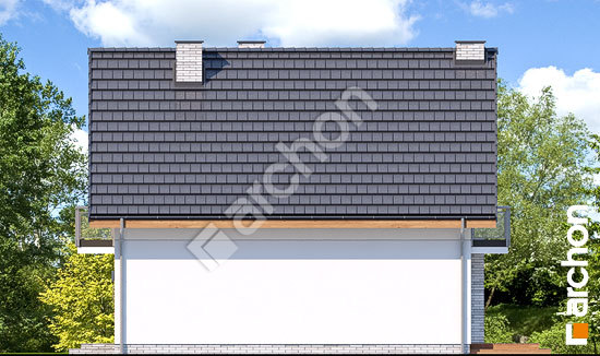 Боковой фасад Дом в сон-траве 3 