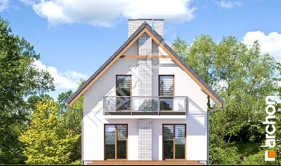 Дворовий фасад Будинок в сон-траві 3