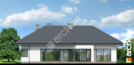 Боковой фасад Дом в каландивах (Г2)