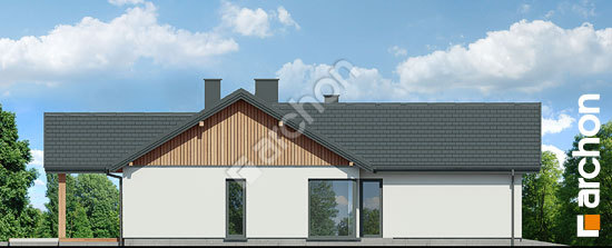 Бочний фасад Будинок в барбарисах (Г2)