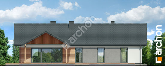 Дворовий фасад Будинок в барбарисах (Г2)