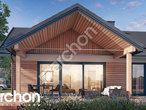 Проект дома ARCHON+ Дом в барбарисах (Г2) додаткова візуалізація