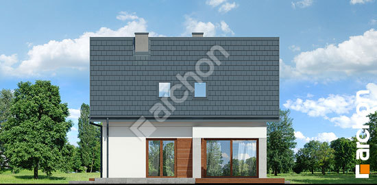 Дворовой фасад Дом в яскерах 3 (Г)