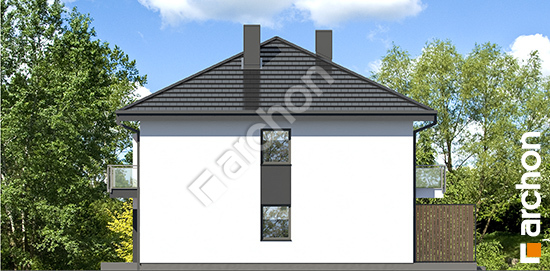 Бочний фасад Будинок в фіалках 3 (Р2Б) вер.3