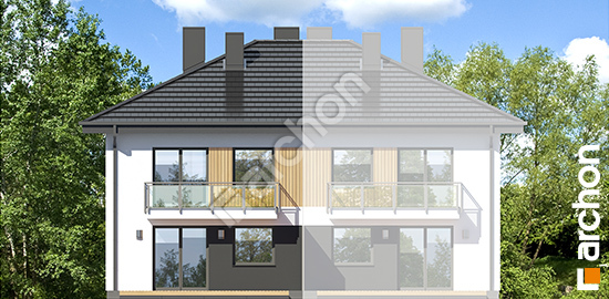 Дворовий фасад Будинок в фіалках 3 (Р2Б) вер.3